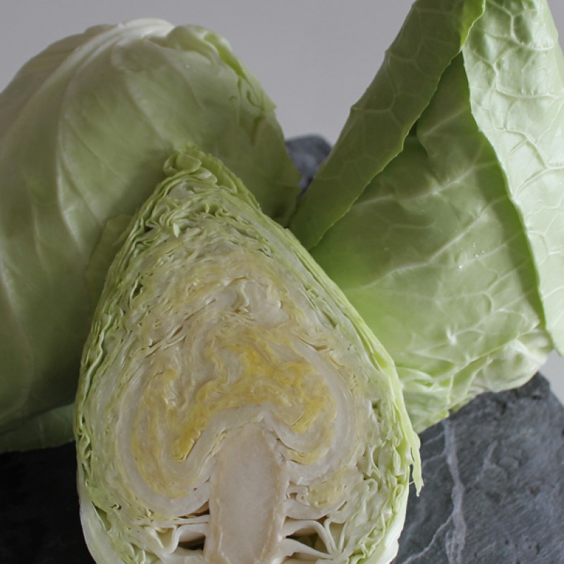 Pointed Cabbage