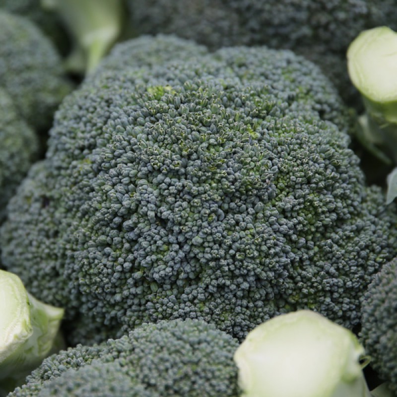 Broccoli