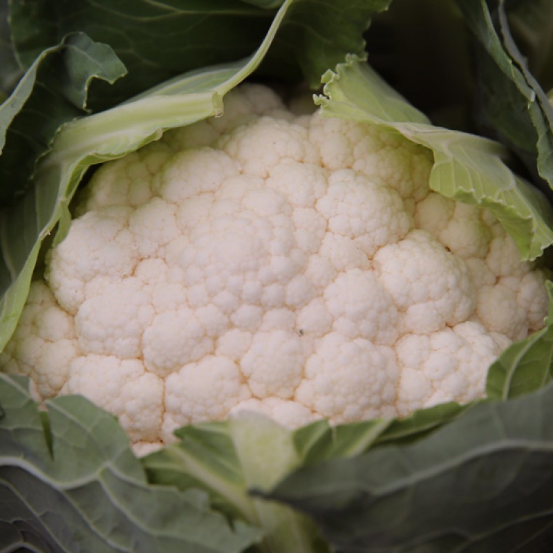 Cauliflower