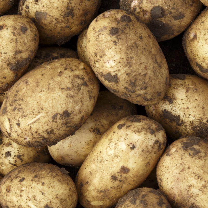 Potatoes