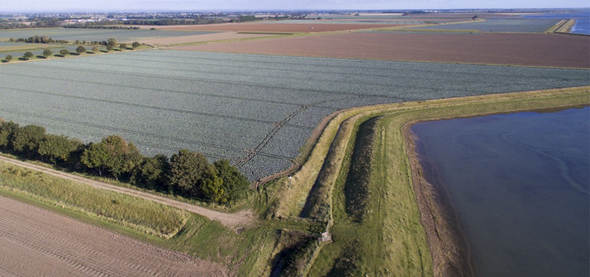 John Saul Farm
